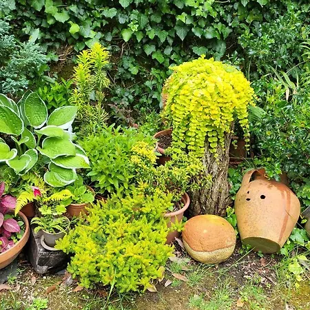 Conjunto Entre Acebos Country house *